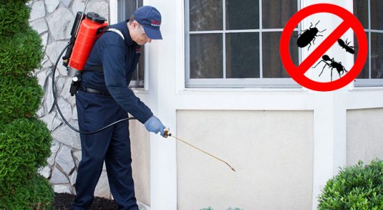 Bozdoğan Gümüşkurt İlaçlama böcek ilaçlama ve haşere kontrolü — ilaclama-tr.com